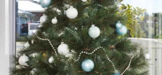 Mater Draw 268 Photo