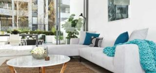 Mater Draw 269 Photo