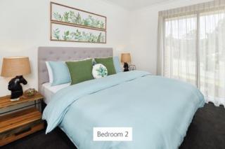 Mater Draw 282 Photo