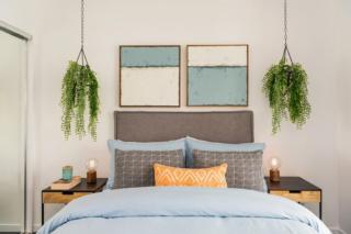 Mater Draw 288 Photo