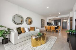 Mater Draw 289 Photo