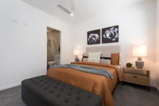 Mater Draw 290 Photo