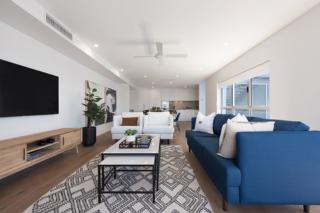 Mater Draw 290 Photo