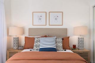 Mater Draw 290 Photo