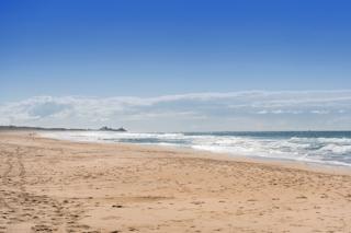 Mater Draw 291 Photo