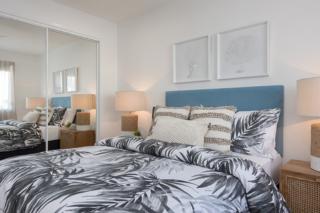 Mater Draw 291 Photo