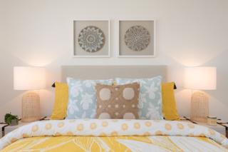 Mater Draw 291 Photo