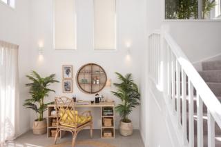 Mater Draw 291 Photo