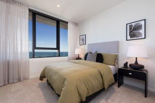 Mater Draw 293 Photo Mater Draw 293 Photo