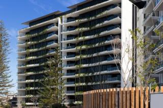 Mater Draw 293 Photo Mater Draw 293 Photo