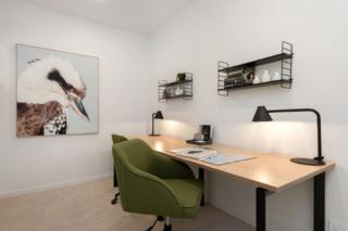 Mater Draw 296 Photo