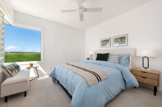 Mater Draw 296 Photo