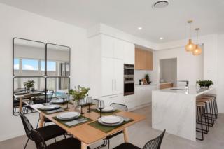 Mater Draw 296 Photo