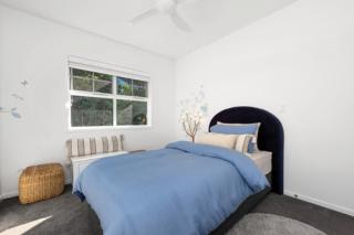 Mater Draw 298 Photo Mater Draw 298 Photo