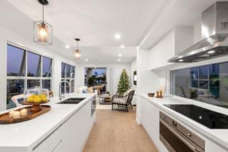 Mater Draw 298 Photo Mater Draw 298 Photo