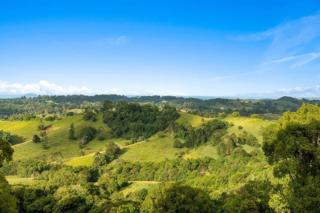 Mater Draw 302 Photo