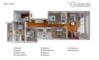 Mater Draw 310 Photo