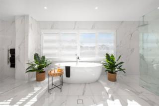 Mater Draw 310 Photo