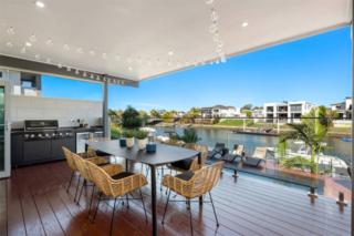 Mater Draw 310 Photo