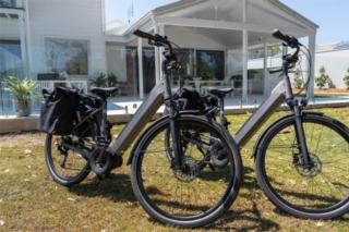 Mater Draw 311 Photo Mater Draw 311 Photo