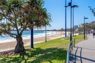 Mater Draw 311 Photo Mater Draw 311 Photo