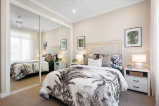 Mater Draw 317 Photo