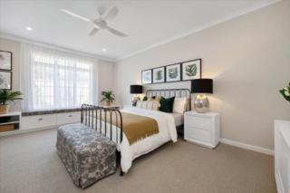 Mater Draw 317 Photo