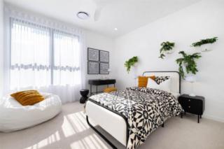 Mater Draw 321 Photo