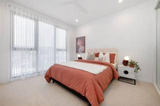 Mater Draw 321 Photo