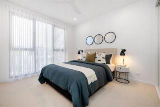 Mater Draw 321 Photo