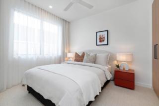 Mater Draw 324 Photo