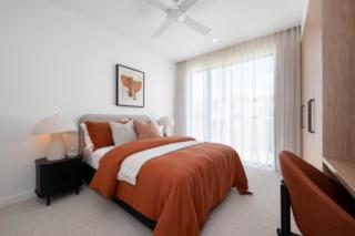 Mater Draw 324 Photo