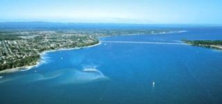 Surf Life Saving Draw 173 Photo