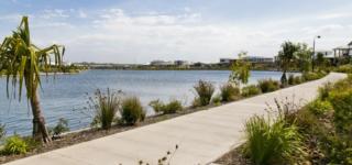 Surf Life Saving Draw 179 Photo