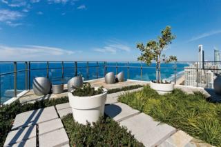 Surf Life Saving Draw 184 Photo Surf Life Saving Draw 184 Photo