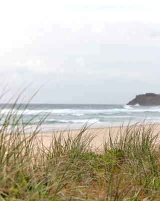 Surf Life Saving Draw 193 Photo