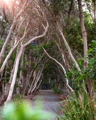 Surf Life Saving Draw 193 Photo