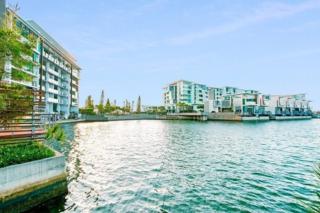 Surf Life Saving Draw 199 Photo