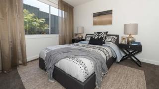 yourtown Draw 475 Photo