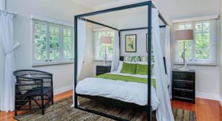 yourtown Draw 487 Photo