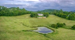 yourtown Draw 518 Photo