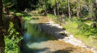 yourtown Draw 522 Photo yourtown Draw 522 Photo