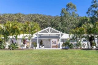 yourtown Draw 531 Photo