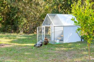 yourtown Draw 531 Photo