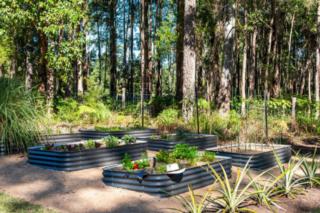 yourtown Draw 540 Photo