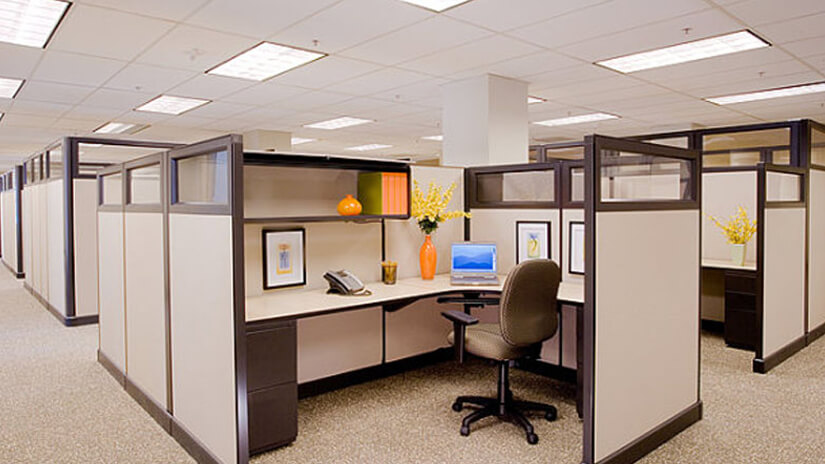 Photo of Sunshine Coast Pest Control doing Offices Pest Control Offices Pest Control Sunshine Coast