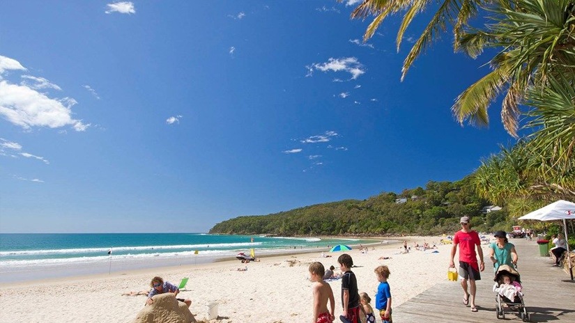 Photo of Sunshine Coast Pest Control in Doonan, QLD 4562 Image of Doonan