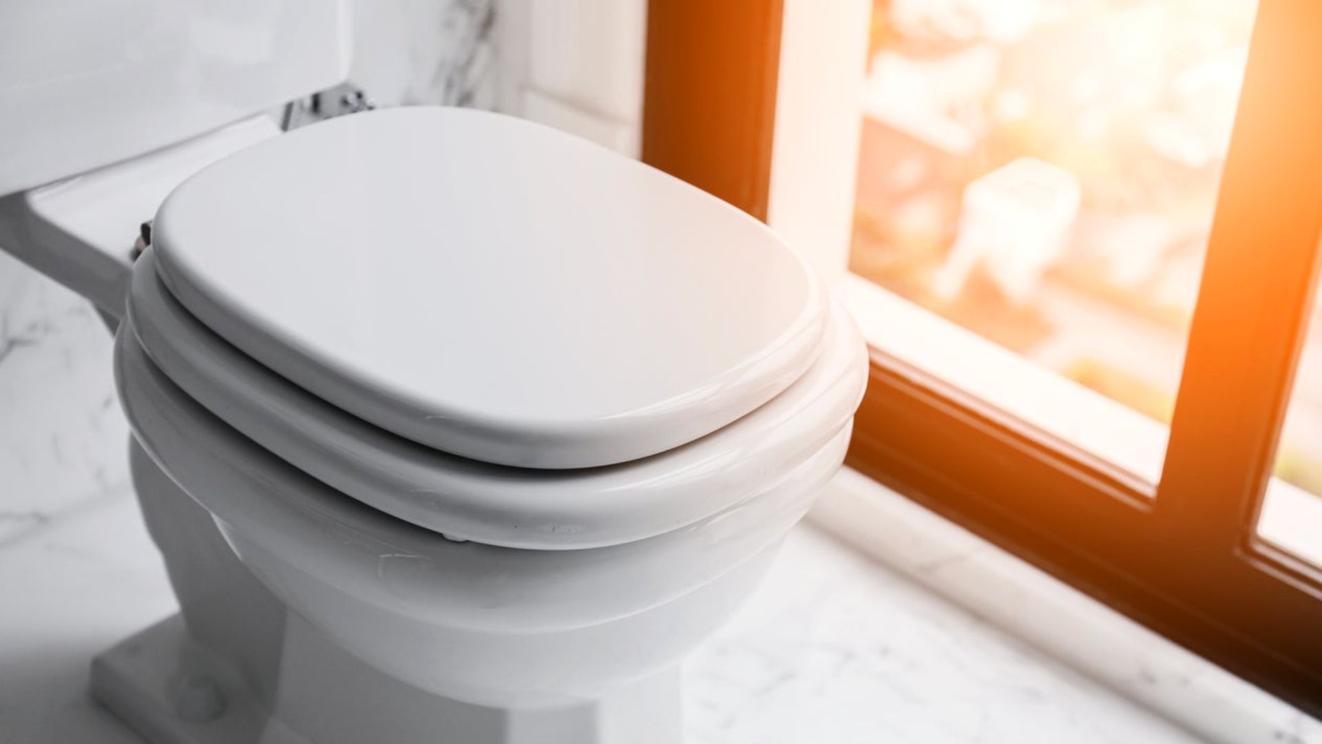 Toilet Lid Window Toilet Seat