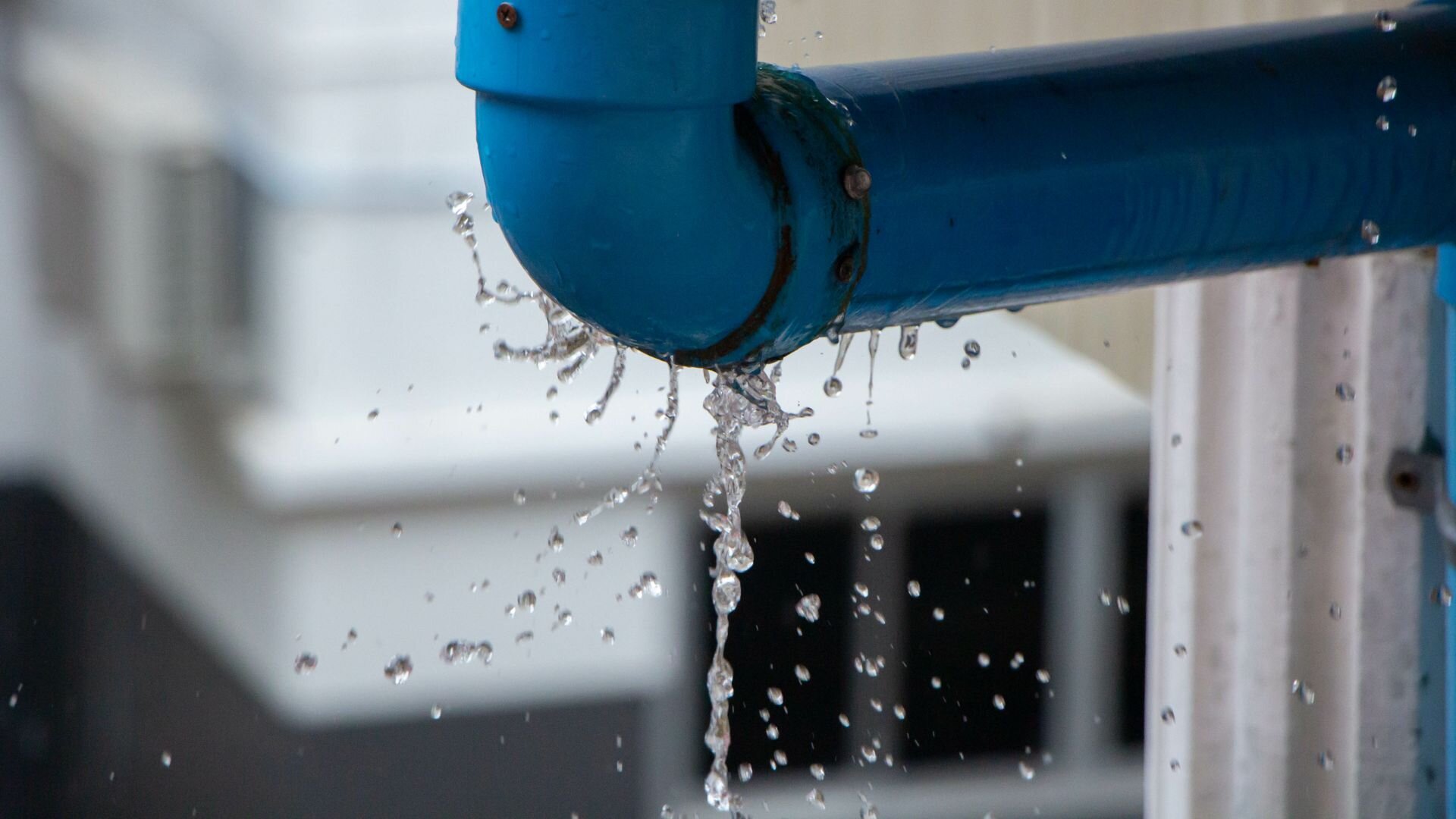 Homeowners Ignoring Leak Blue Pipe