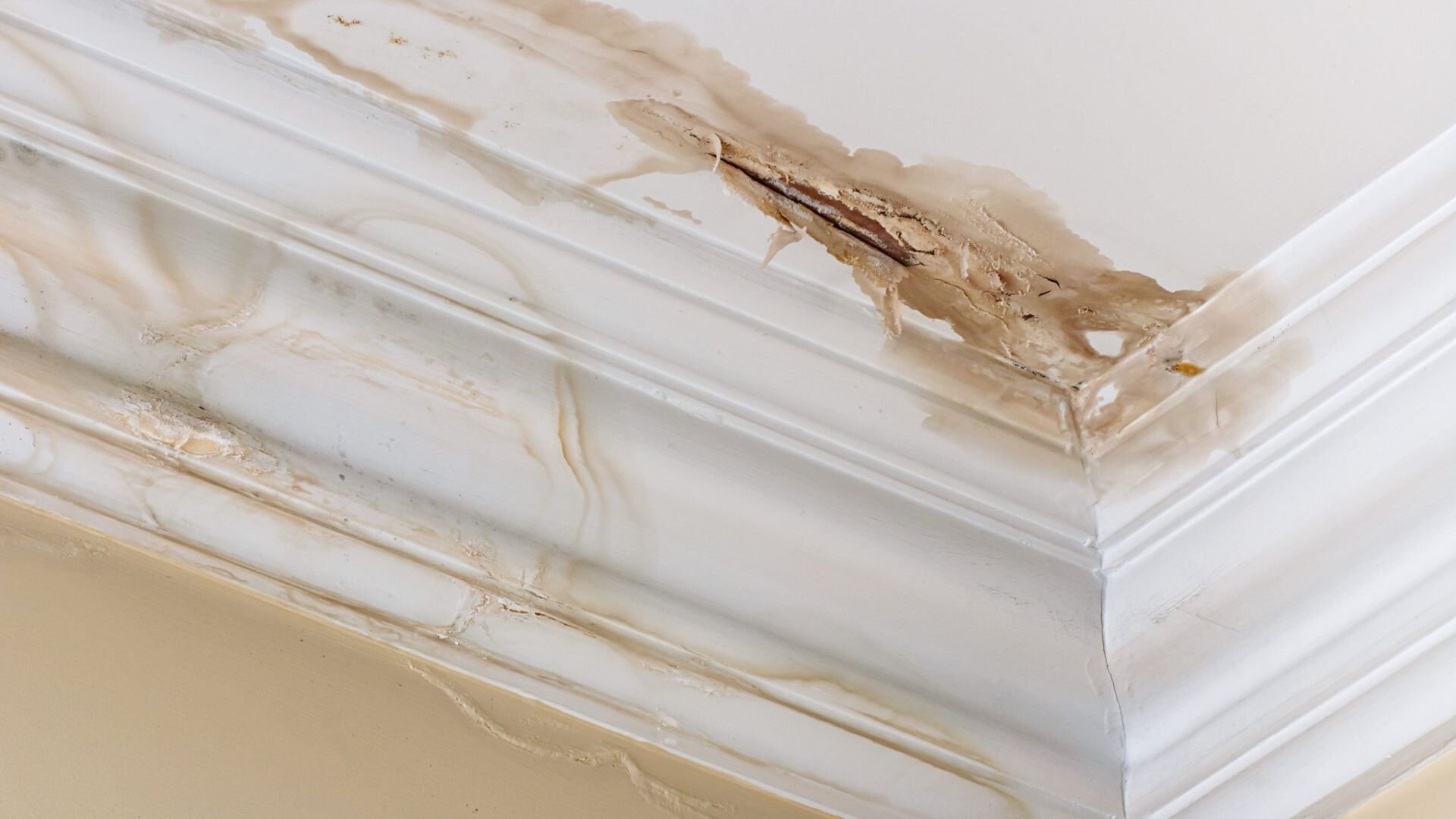 Water Damage Plumbing Insurance